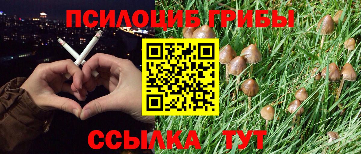 Псилоцибиновые грибы ЛСД  Псилоцибиновые грибы Cubensis  Котлас  Вход с VPN 