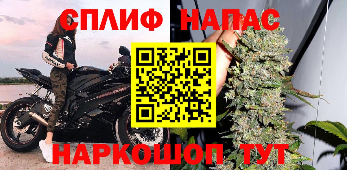Котлас  Конопля семена  Конопля Ganja  Канабис сатива  Вход с VPN 